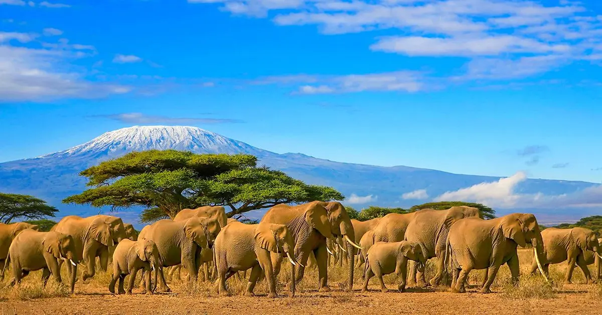 How to Get a Tanzania Work Permit, Visa and Residence