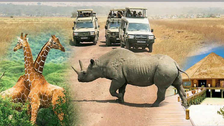 Tanzania Investment Advantages: Location Is Not a Permit